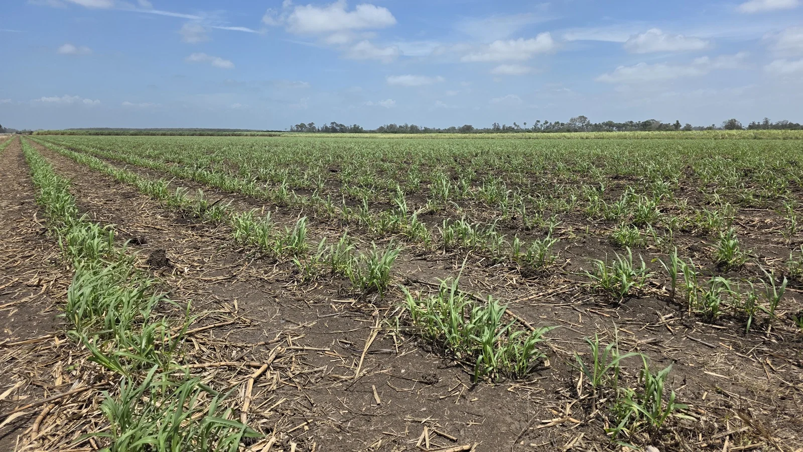 Additional image 8 of 665 and 691 Kilgin Road, Kilgin NSW 2472