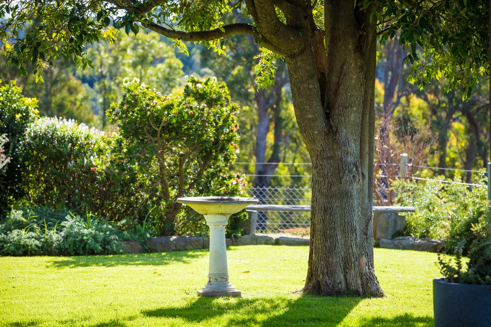 Additional image 20 of 1167 Princes Highway, Kiah NSW 2551