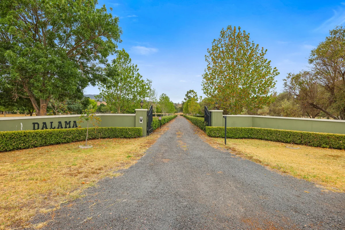 164 Upper Dartbrook Road, Scone NSW 2337