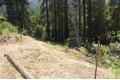 14965 Virginia Ave, Boulder Creek, CA, 95006 photo 4