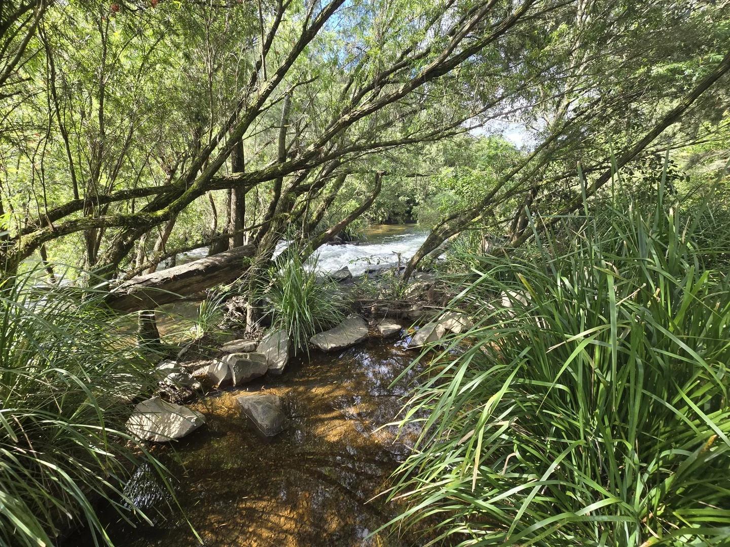 52 Greenhills Rd, Upper Taylors Arm NSW 2447