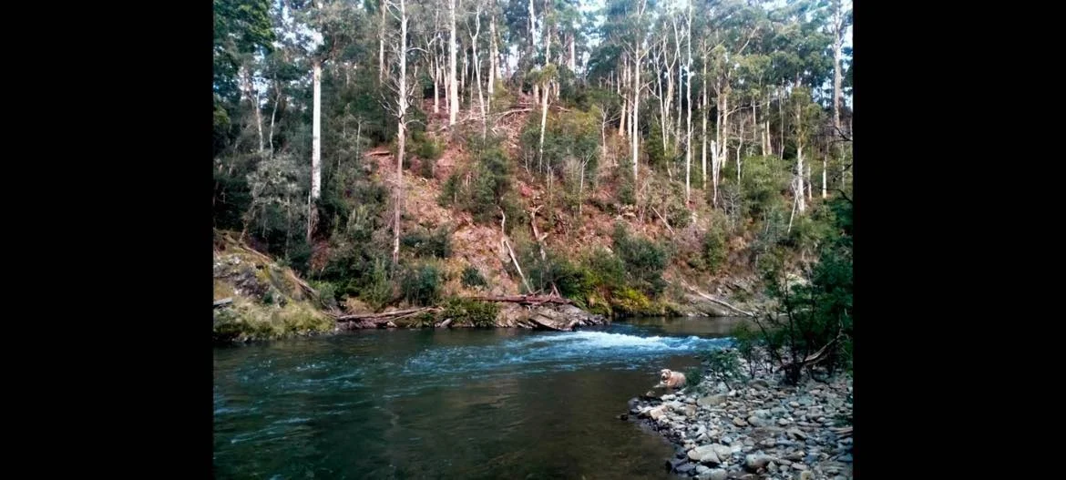 Somerset TAS 7322 photo 4