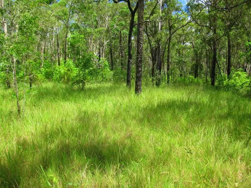 Additional image 3 of Captain Creek QLD 4677