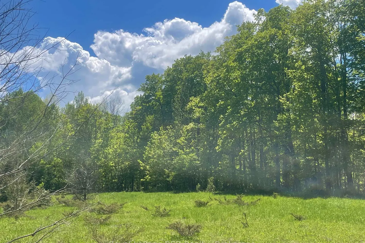 Additional image 15 of N/A Sunny Valley Road