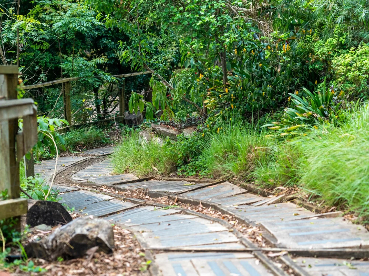 Additional image 38 of 25-27 Riverview Ave, Dangar Island NSW 2083