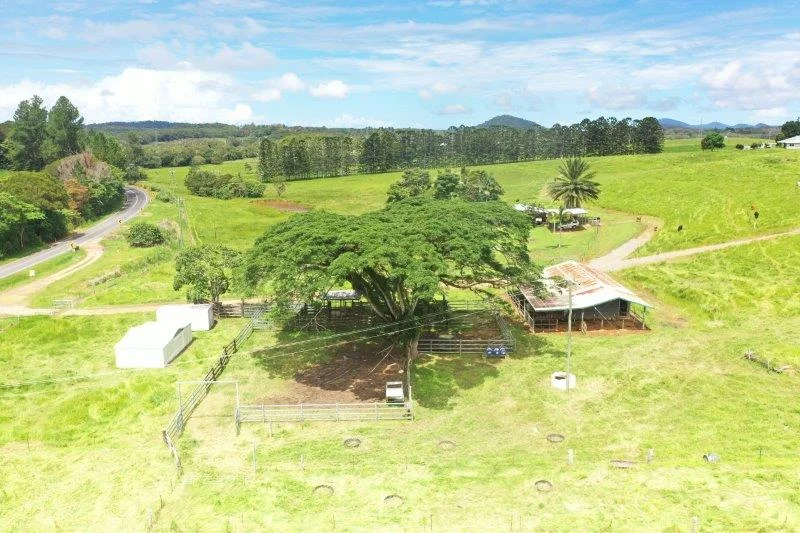 Additional image 28 of 1297 Mossman-Mount Molloy Road, Julatten QLD 4871