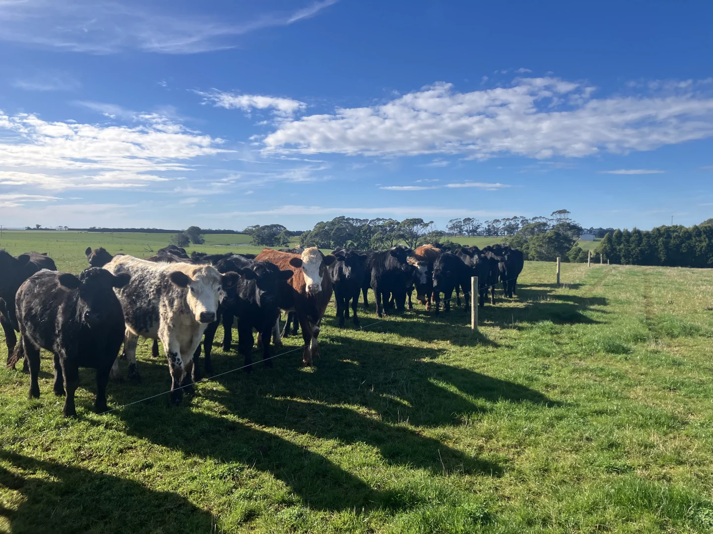 Additional image 5 of 511 Backline Road, Forest TAS 7330