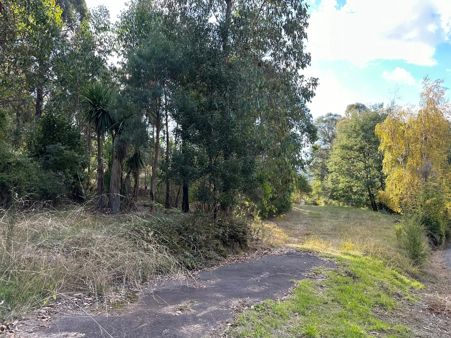 Additional image 6 of 3 Kings Road, Marysville VIC 3779