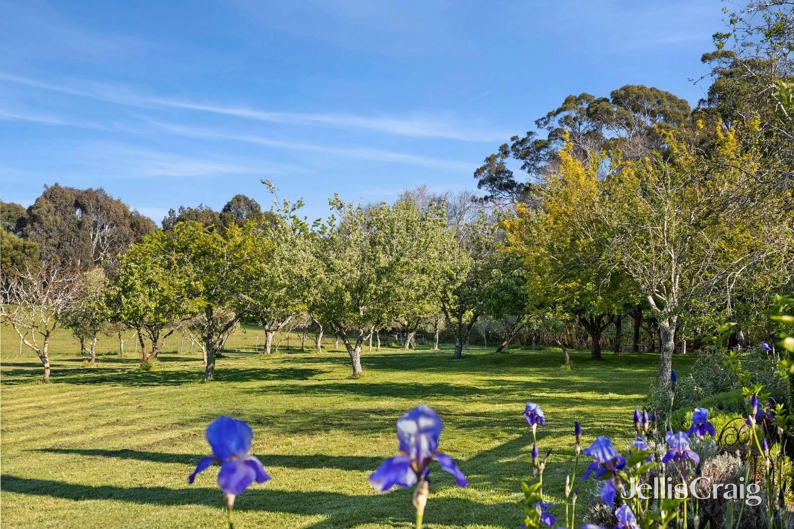 Additional image 24 of 260 Leitches Creek Road, Musk VIC 3461