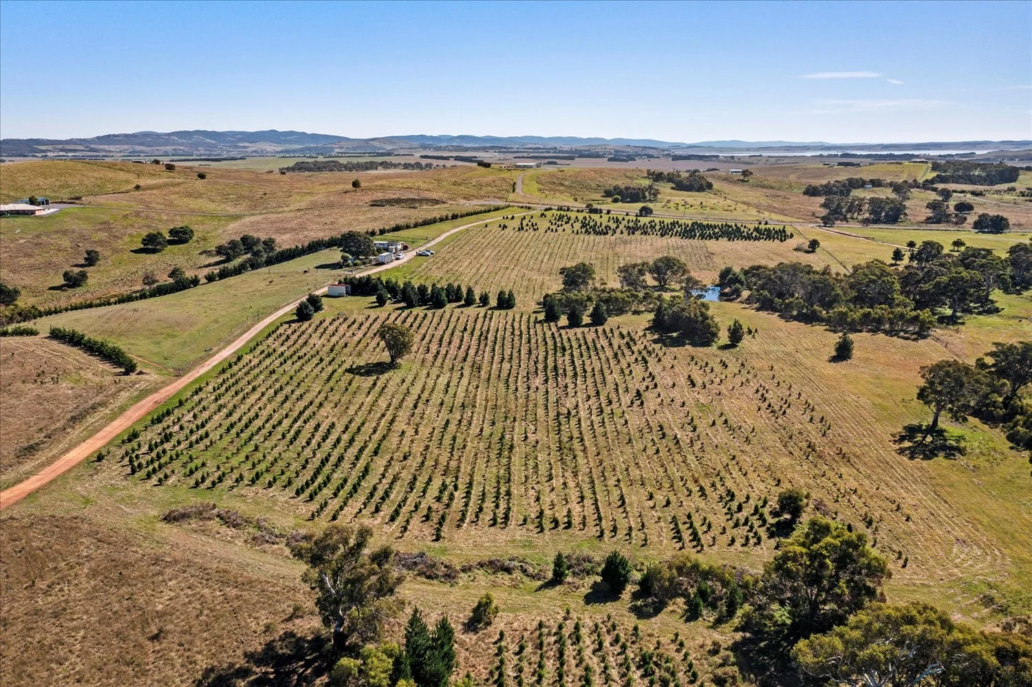 Additional image 46 of 134 Lakeview Road, Tarago NSW 2580