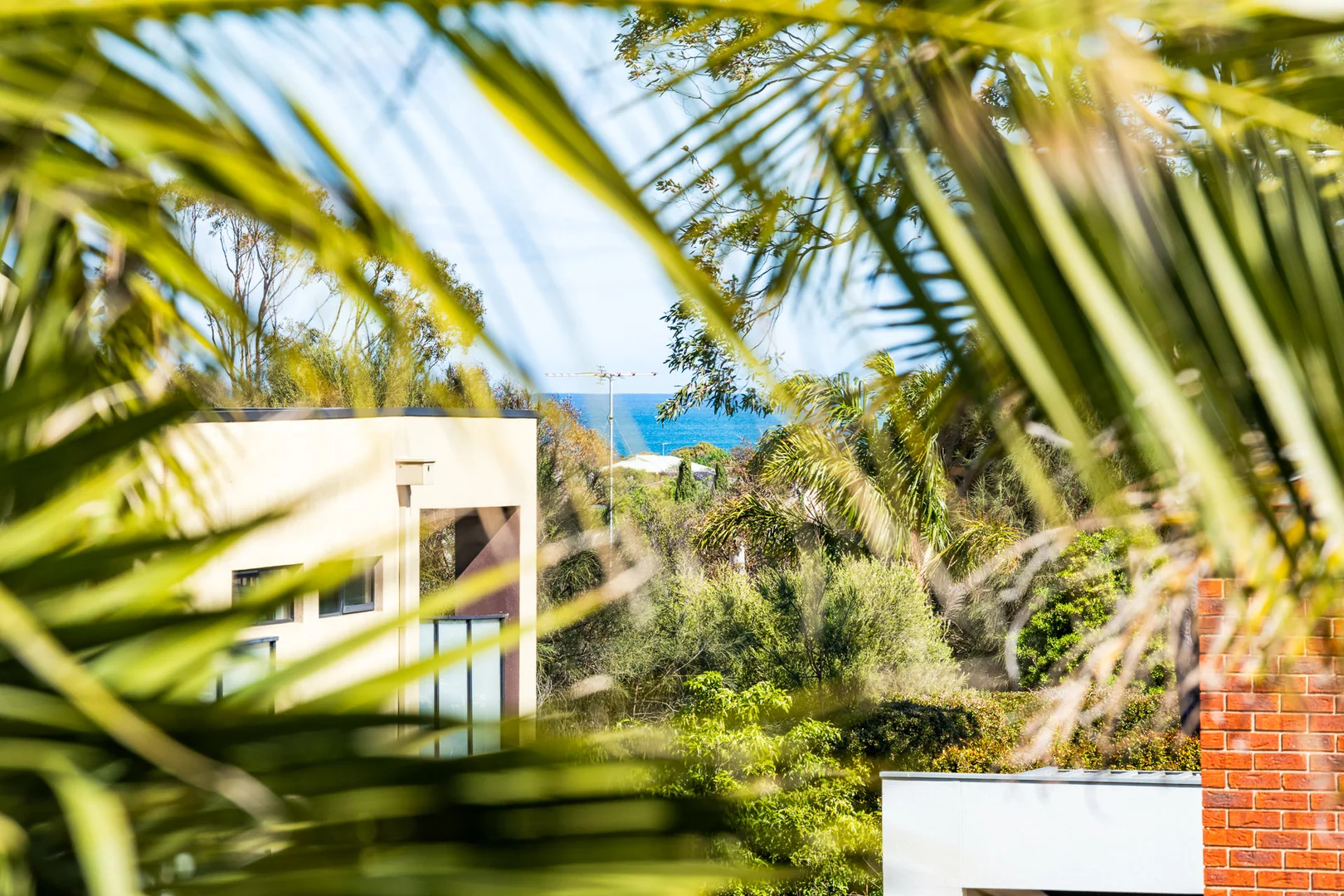 Additional image 8 of 19 Pomora Avenue, Torquay VIC 3228