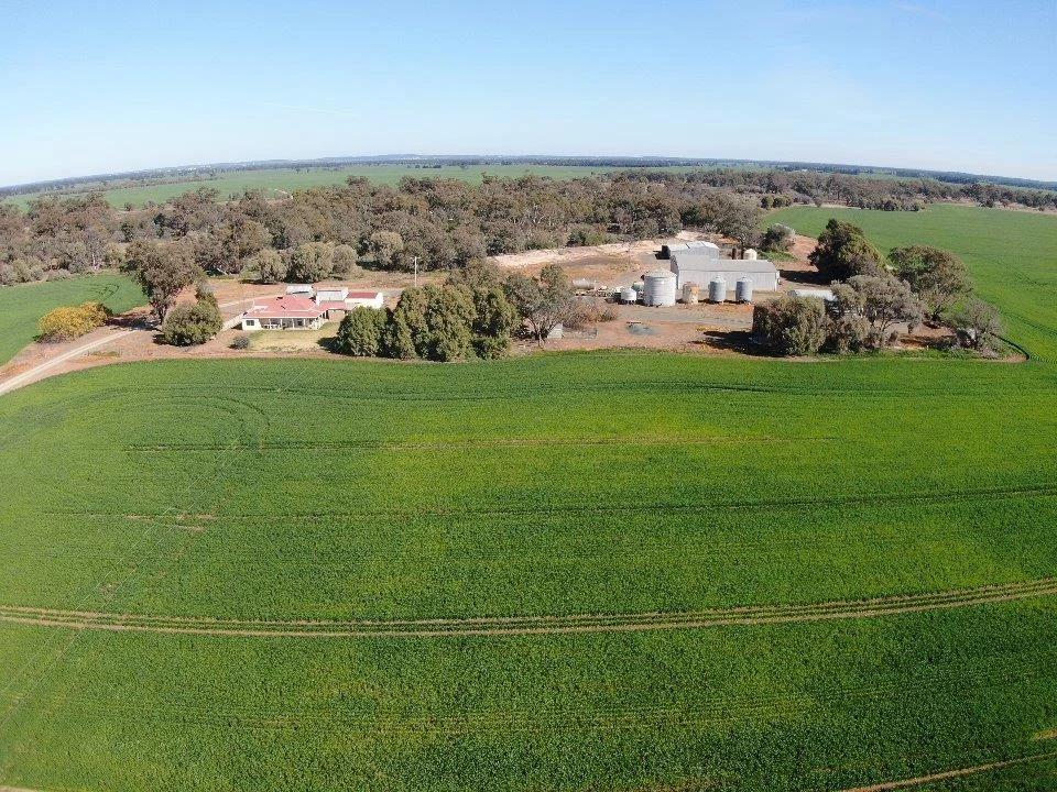 'Allendale' 233 Waarbilla Road, Barmedman NSW 2668