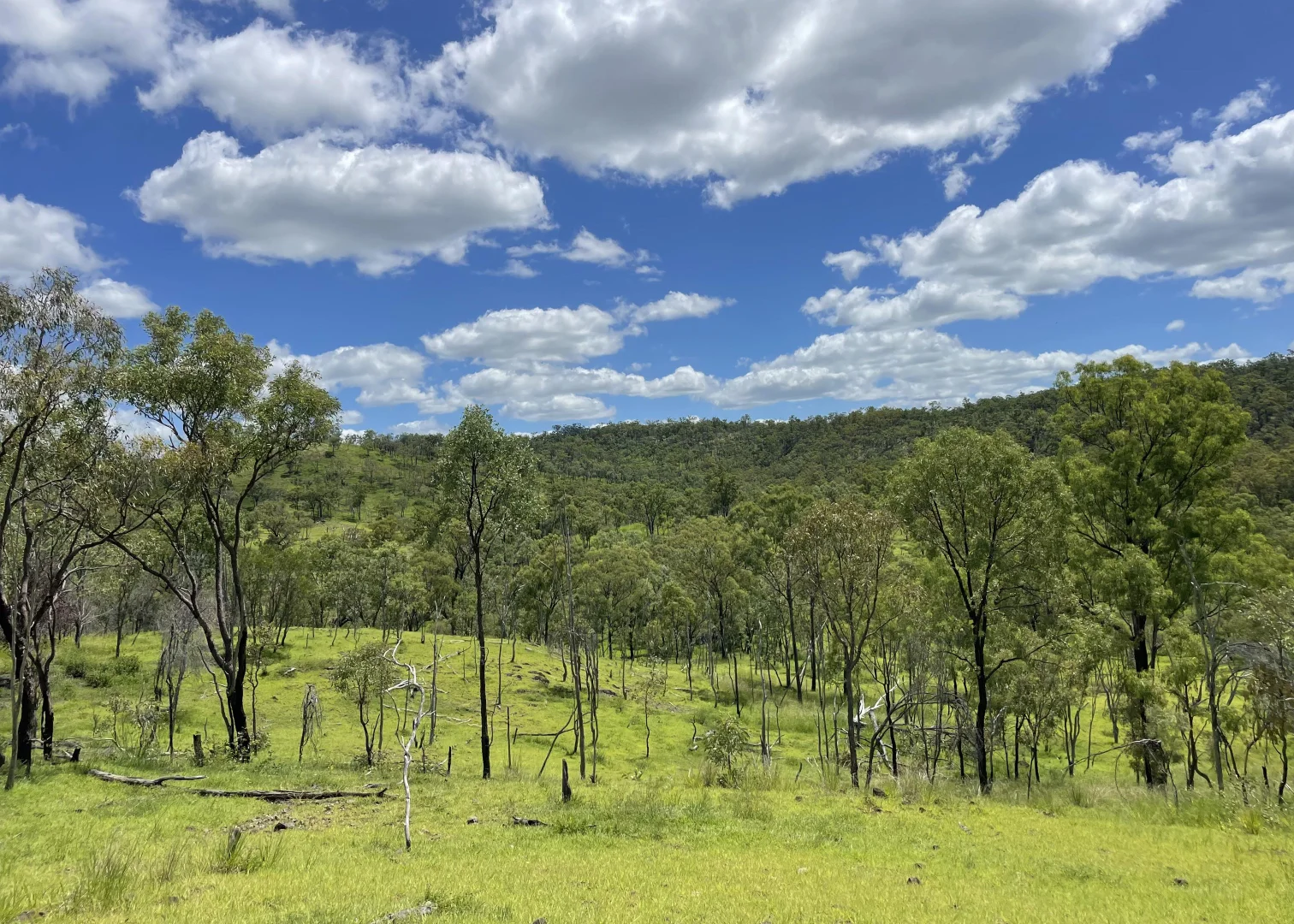 Additional image 9 of L52 Campbell Creek Road, Campbell Creek, Gayndah QLD 4625