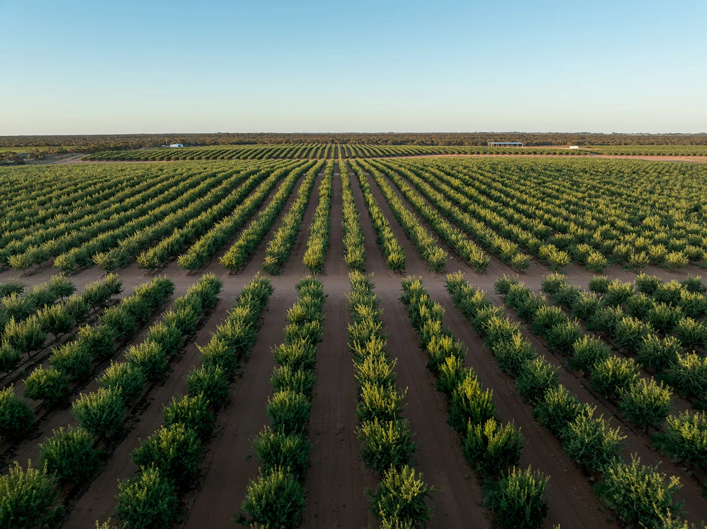 Additional image 2 of 971 Wilga Road, Red Cliffs VIC 3496