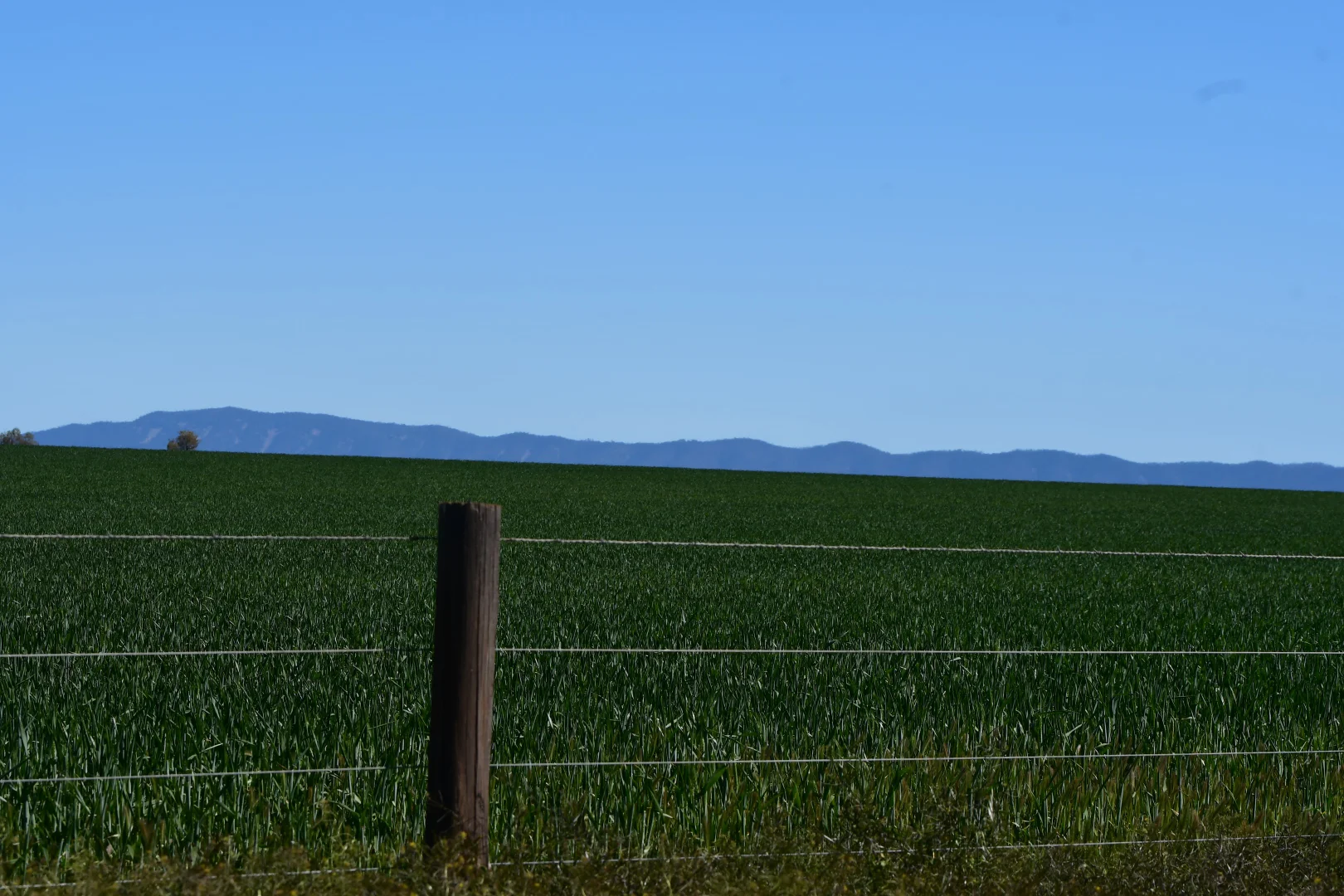 Additional image 10 of 26 Amyton Road, Willowie SA 5431