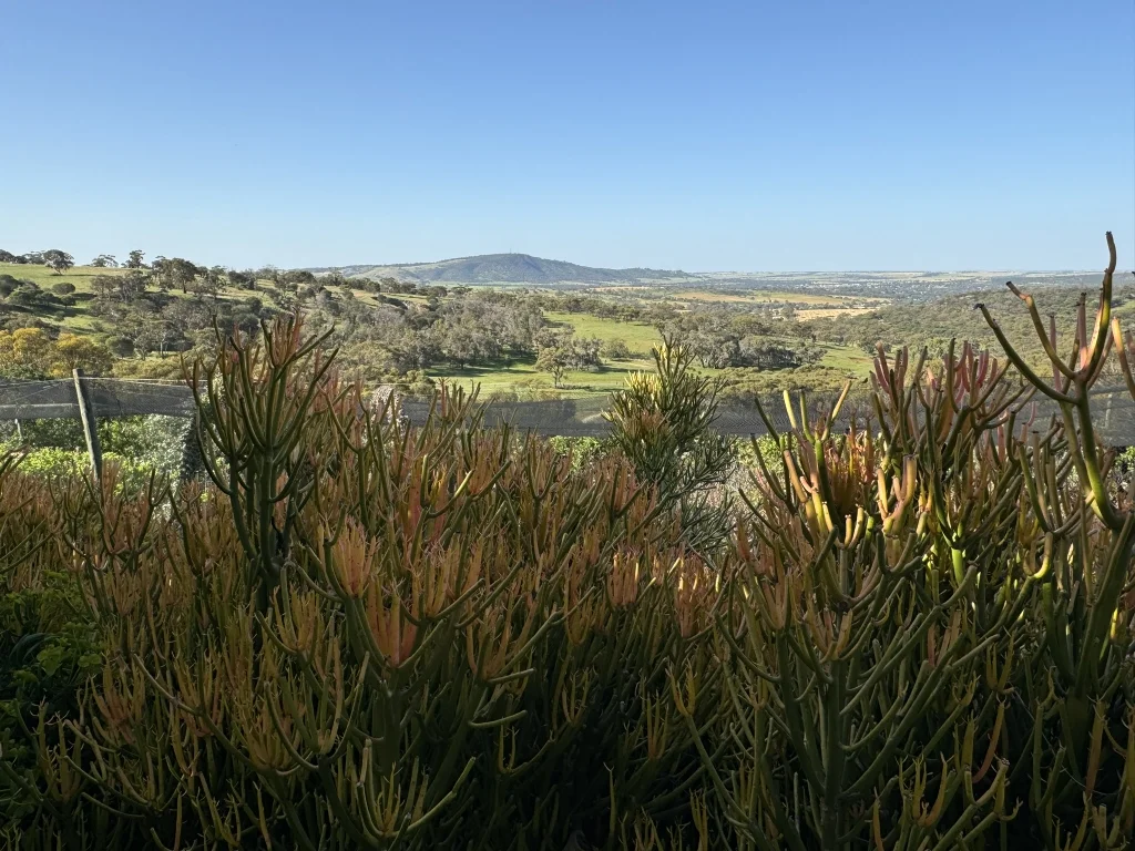 Additional image 51 of 9 Morris Edwards Drive, York WA 6302