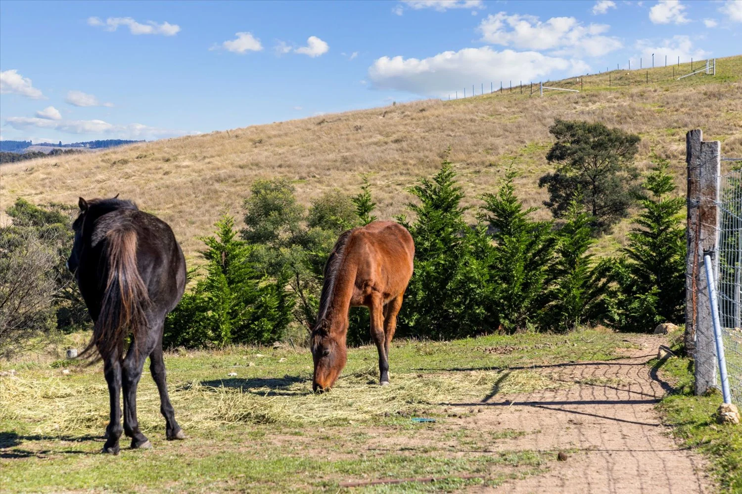 Additional image 8 of 134 Lakeview Road, Tarago NSW 2580