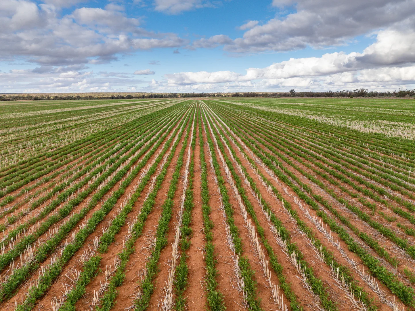 Additional image 8 of 2423 Petro Mail Road, Arumpo NSW 2715