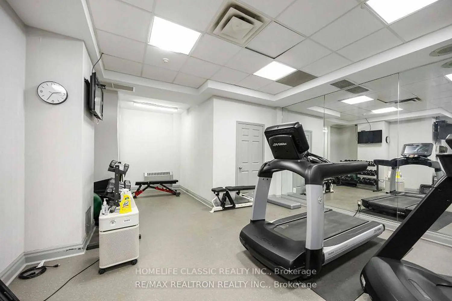 Additional image 6 of 155 Beecroft Road 1807