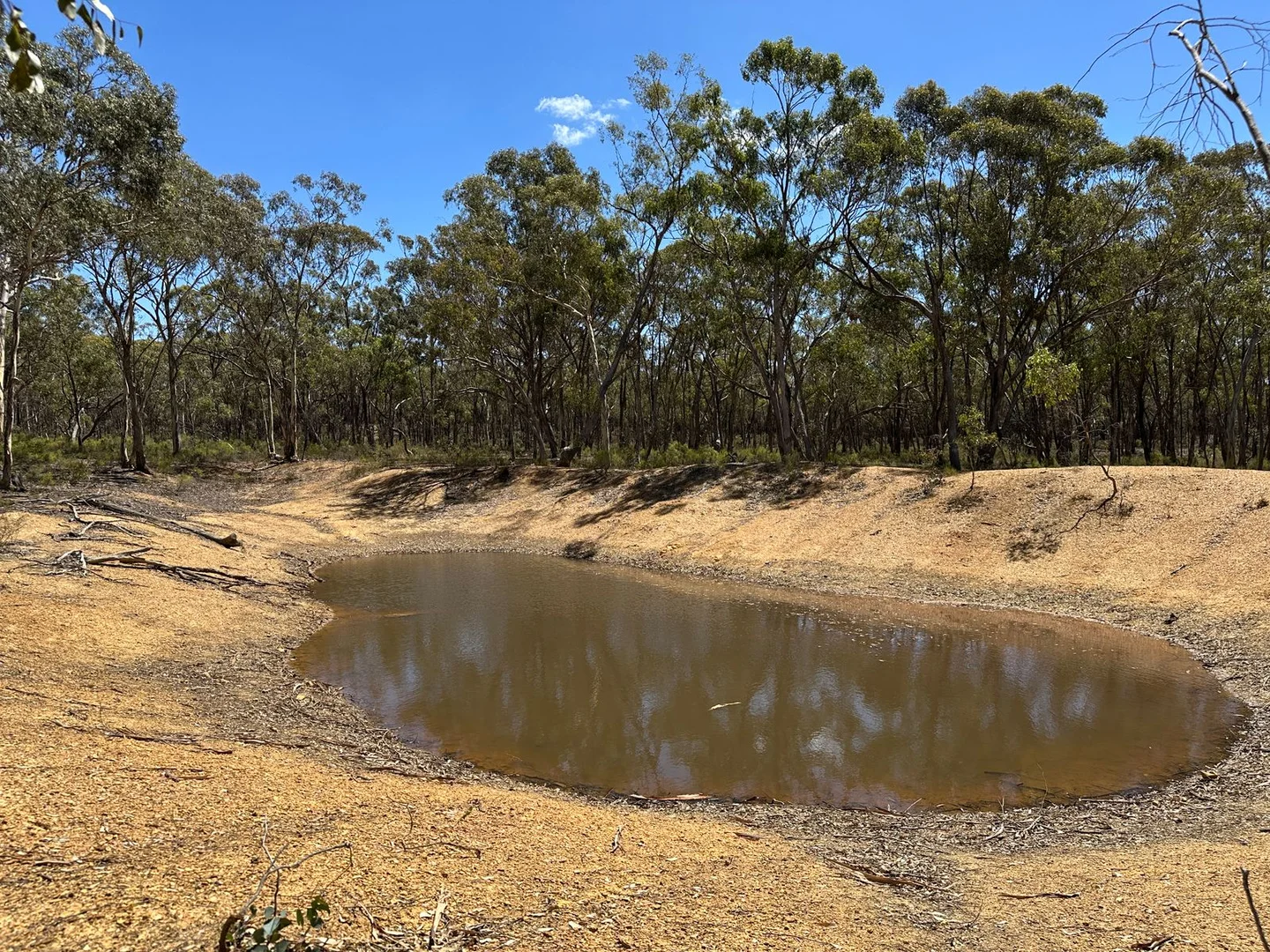 Additional image 5 of 206 Williams Road, Carisbrook VIC 3464