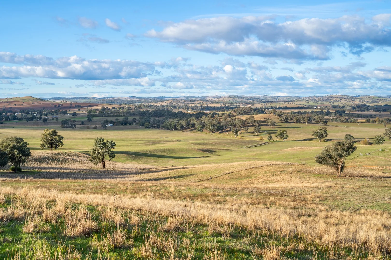 Additional image 2 of 14 Packs Grant Road, Cowra NSW 2794