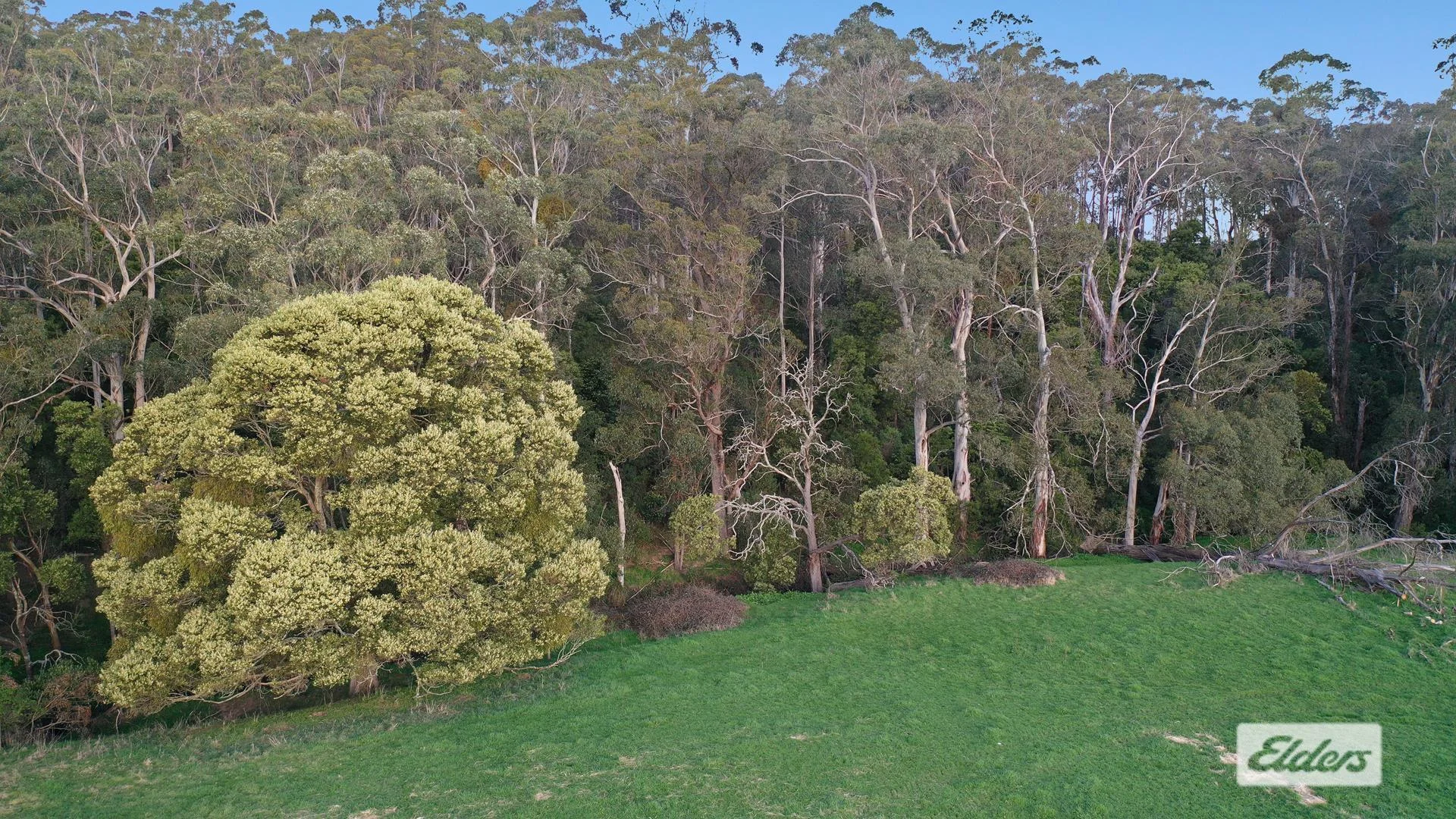 Additional image 4 of 2 Albert River-Welshpool Road, Binginwarri VIC 3966