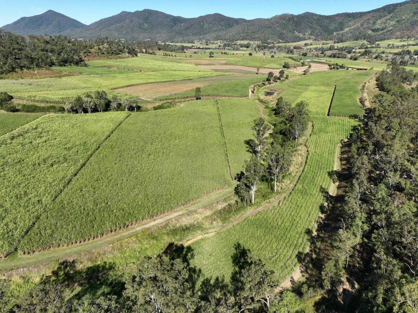 Additional image 21 of Finch Hatton QLD 4756