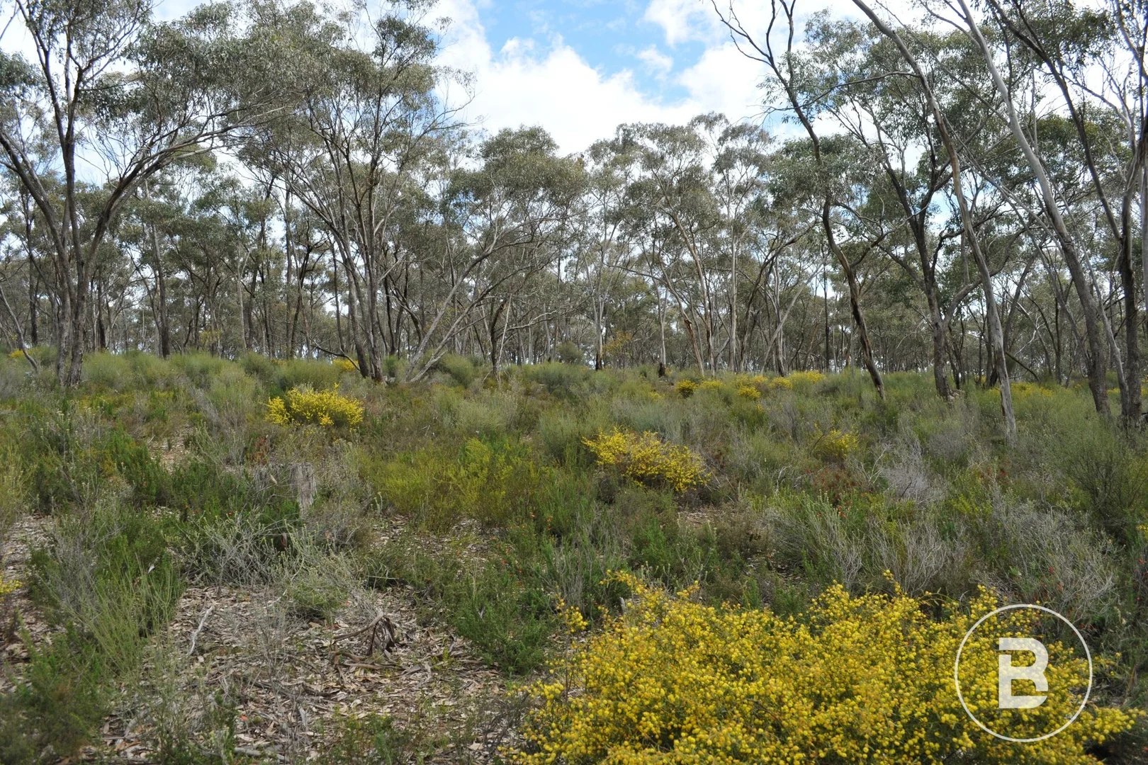 Additional image 5 of CA 127E McDonald Road, Llanelly VIC 3551