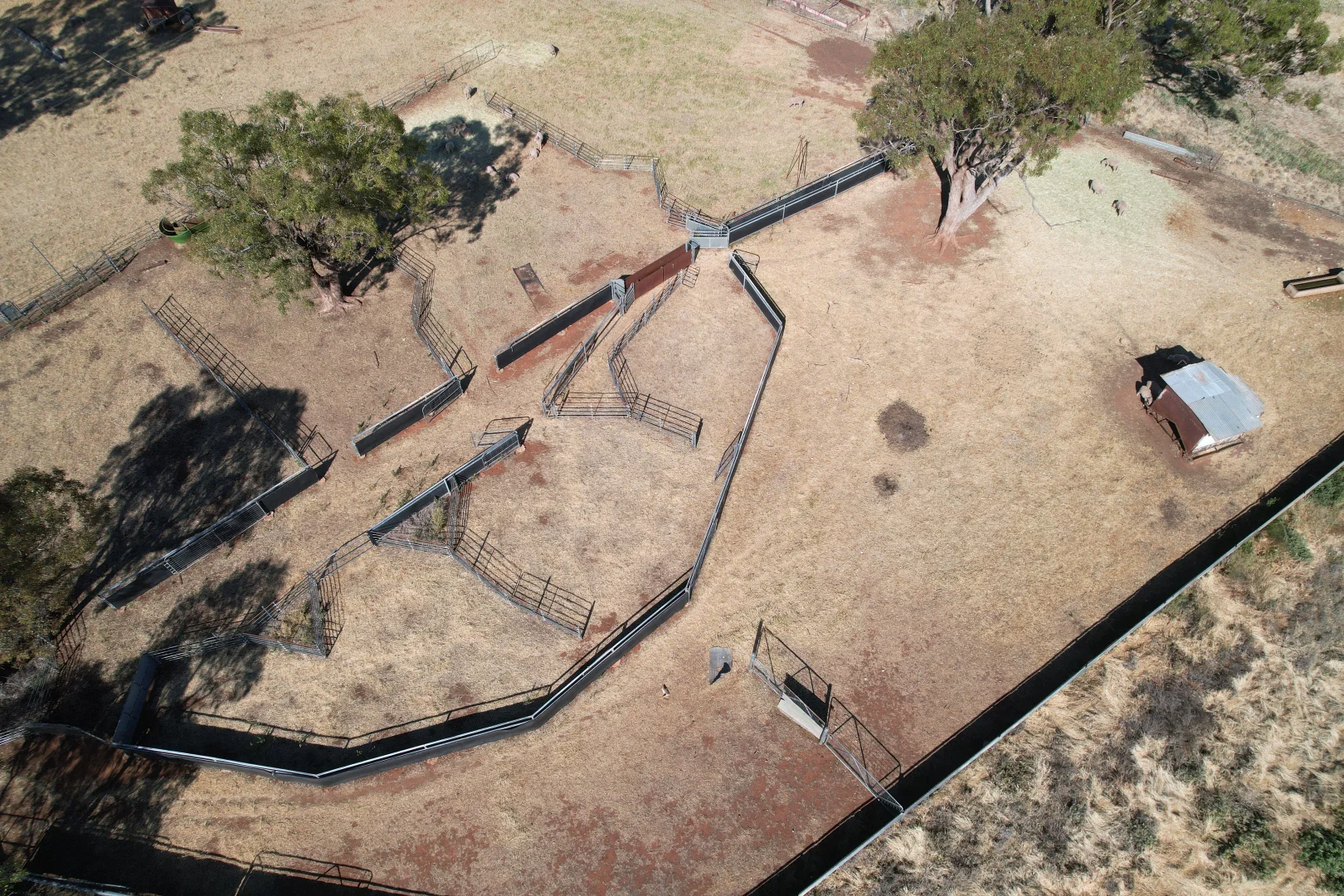 Additional image 18 of 'Boree Glen' 456 Whymarks Lane, Tullibigeal NSW 2669