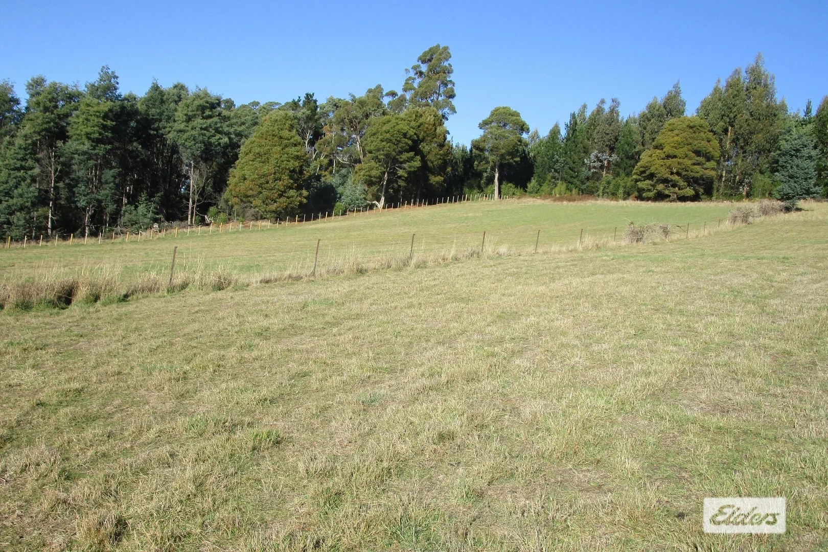 Additional image 3 of 1951 Wilmot Road, Lower Wilmot TAS 7310