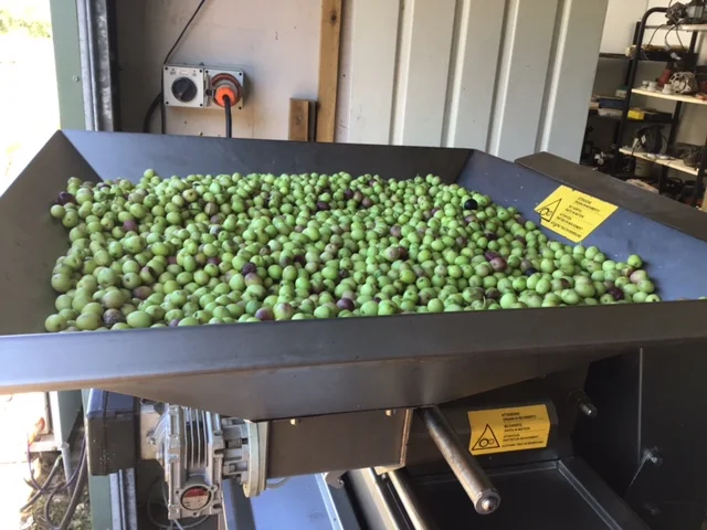 Additional image 7 of 20 Kurrajong Road, Coonabarabran NSW 2357