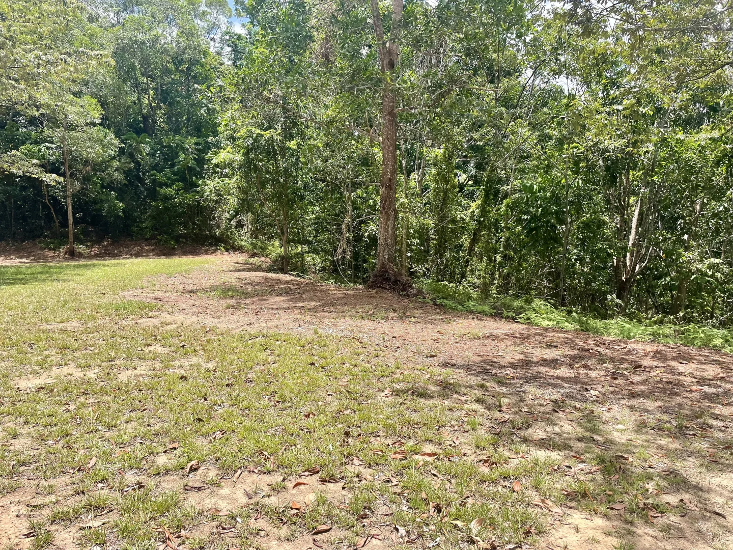 Additional image 11 of 2869 Mossman Daintree Road, Lower Daintree, Daintree QLD 4873