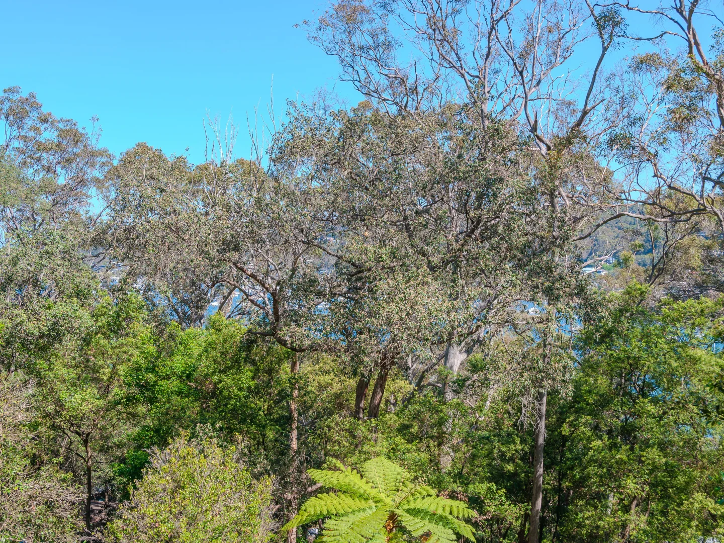 Additional image 16 of 66 Thompson St, Scotland Island NSW 2105