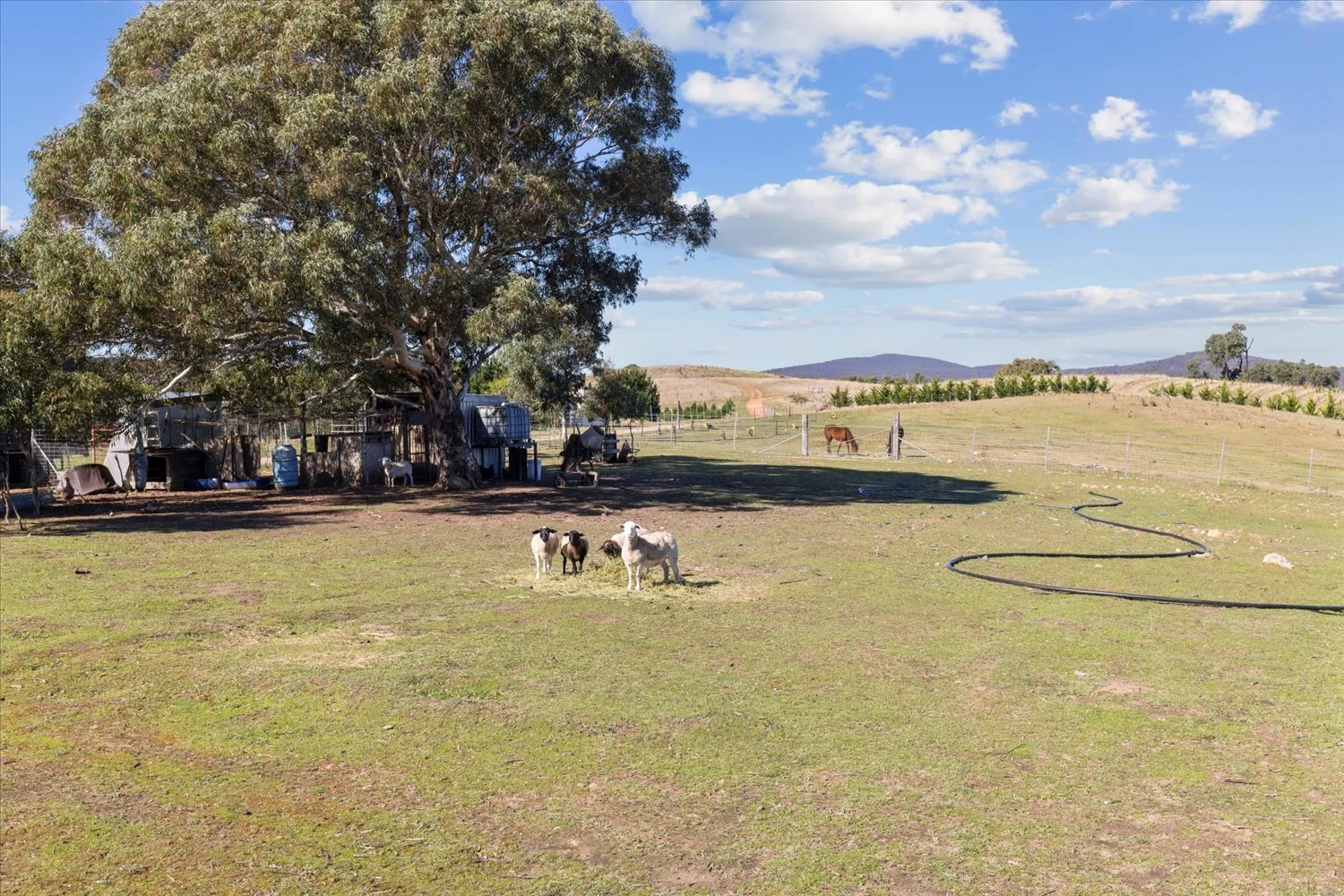 Additional image 13 of 134 Lakeview Road, Tarago NSW 2580