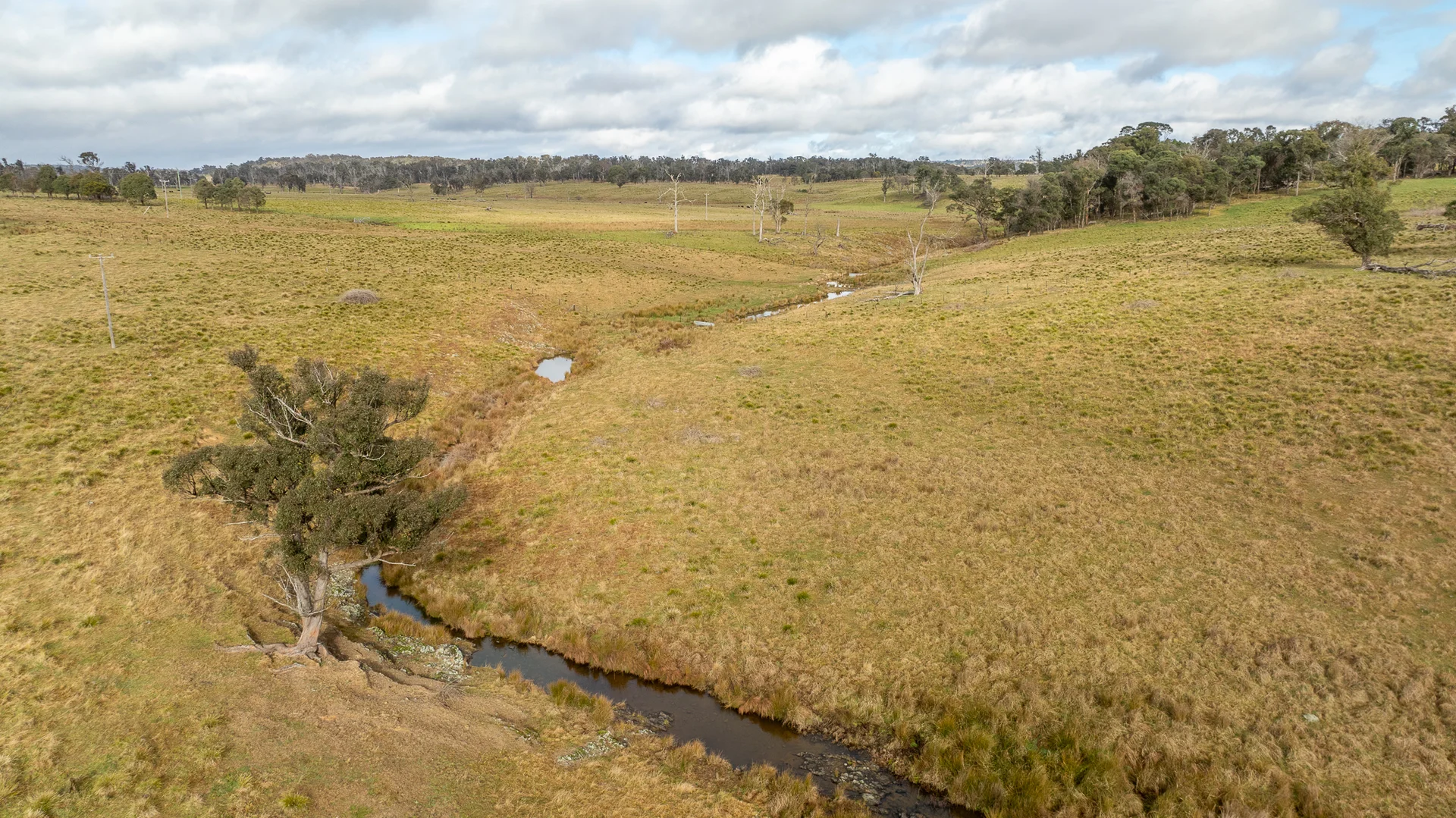 Additional image 22 of 737 Dyamberin Road, Wongwibinda NSW 2350