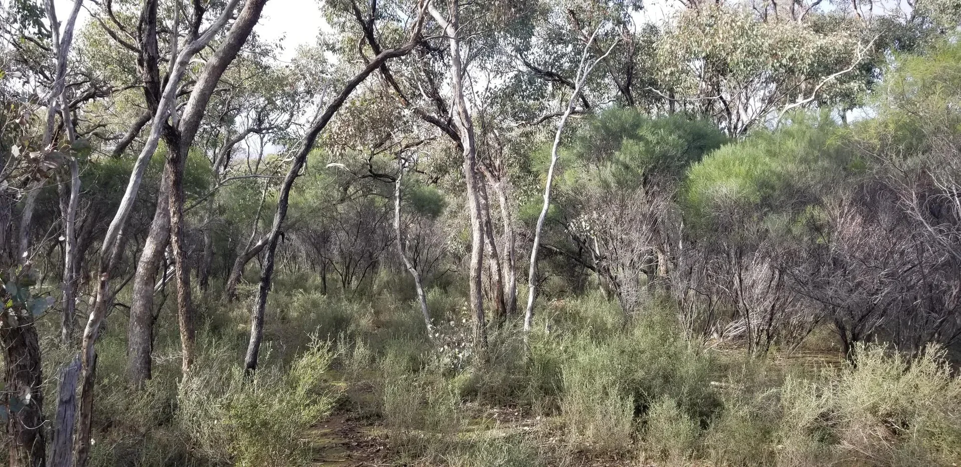 Additional image 16 of 6803 Calder Highway, Wedderburn VIC 3518