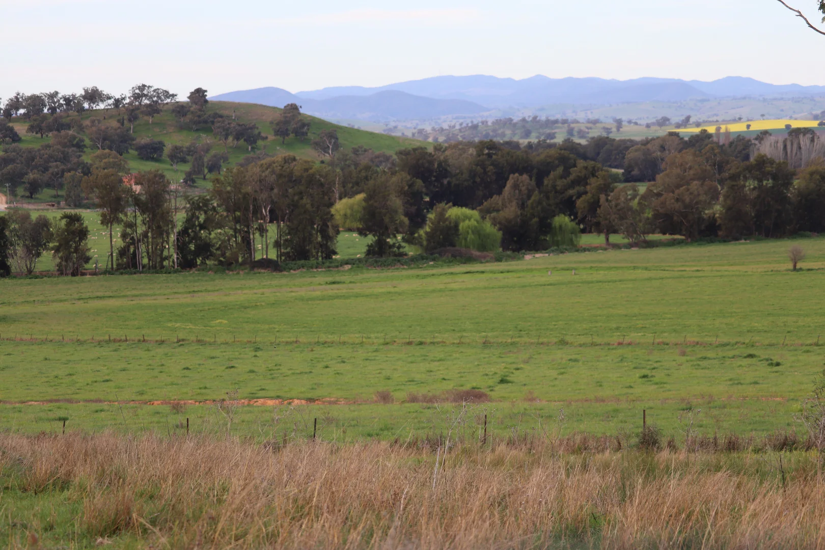 Additional image 15 of 2350 George Russell Drive, Canowindra NSW 2804