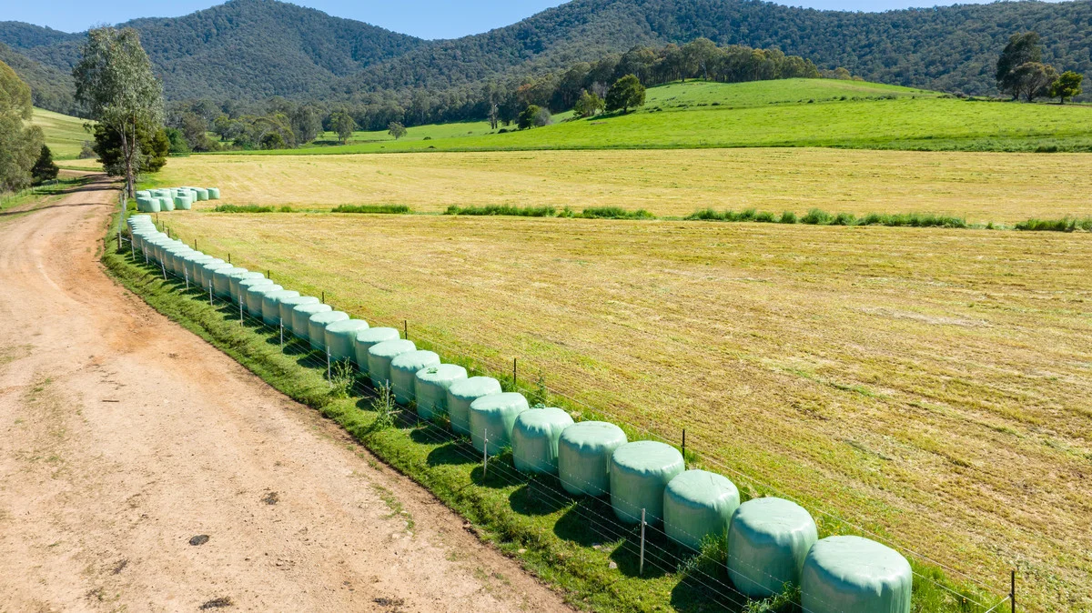 Additional image 31 of 3082 Omeo Highway, Tallandoon VIC 3701