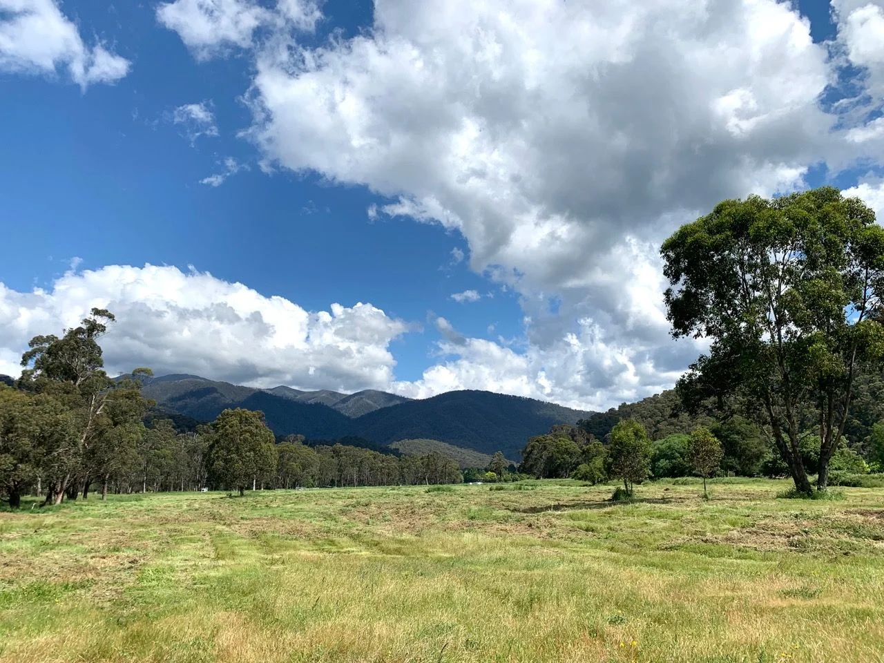 Additional image 6 of Smoko VIC 3741