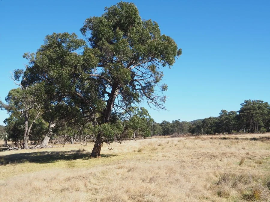 Additional image 6 of Torrington Road, Stannum NSW 2371