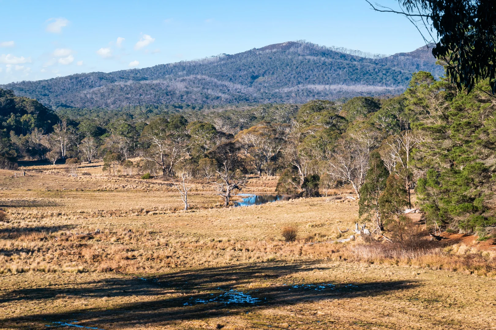 Additional image 22 of 1974 Tuross Road, Kybeyan NSW 2631