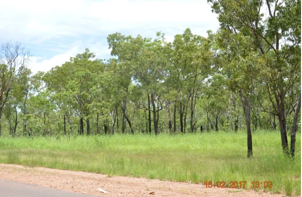 135 Daly River Rd, Adelaide River NT 0846