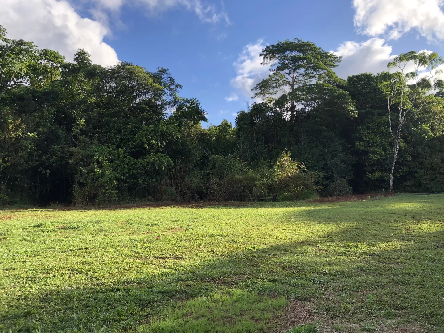 Additional image 8 of 516 Brooks Road, Mungalli QLD 4886