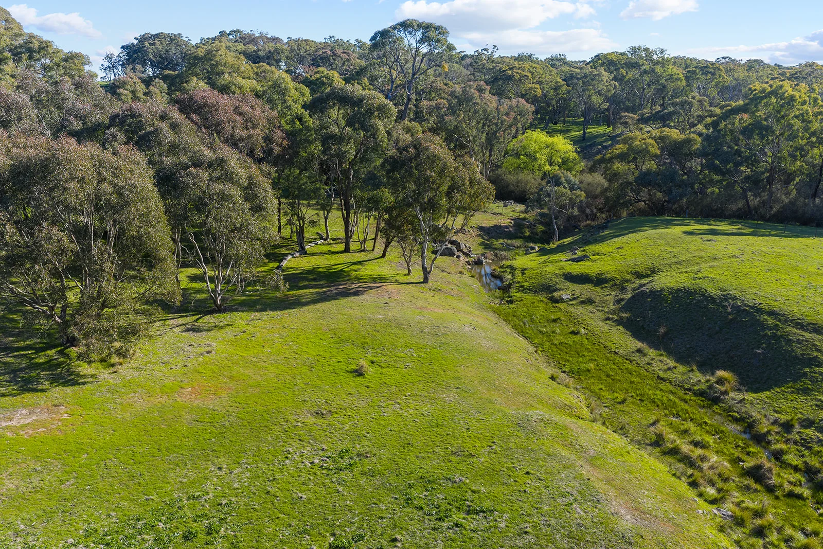 Additional image 33 of 1432 Lachlan Valley Way, Laverstock NSW 2582