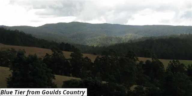 755 Lottah Road, Lottah TAS 7216