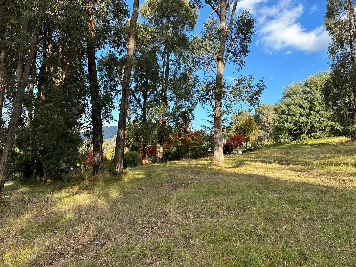 Additional image 7 of 3 Kings Road, Marysville VIC 3779