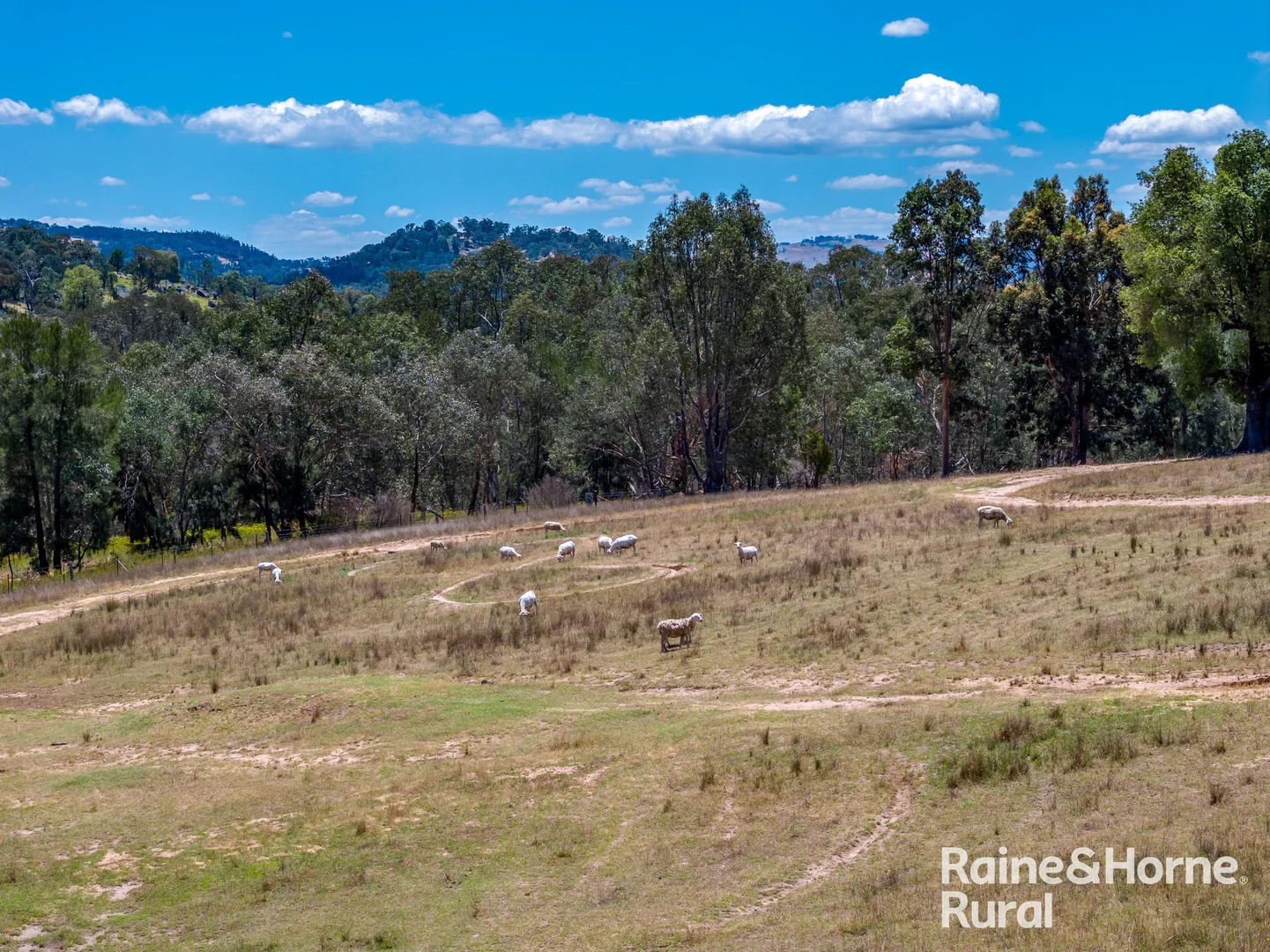 Additional image 21 of 1109 Foggs Crossing Road, Bigga NSW 2583