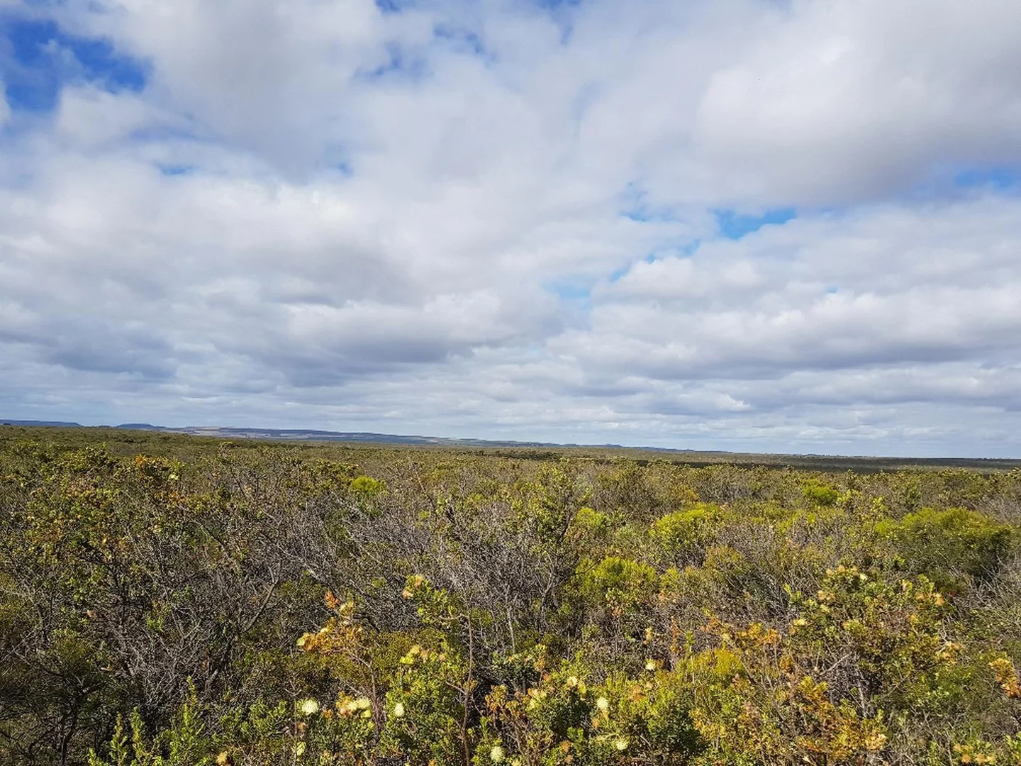 Additional image 2 of 277 PREMIER Drive, Jurien Bay WA 6516