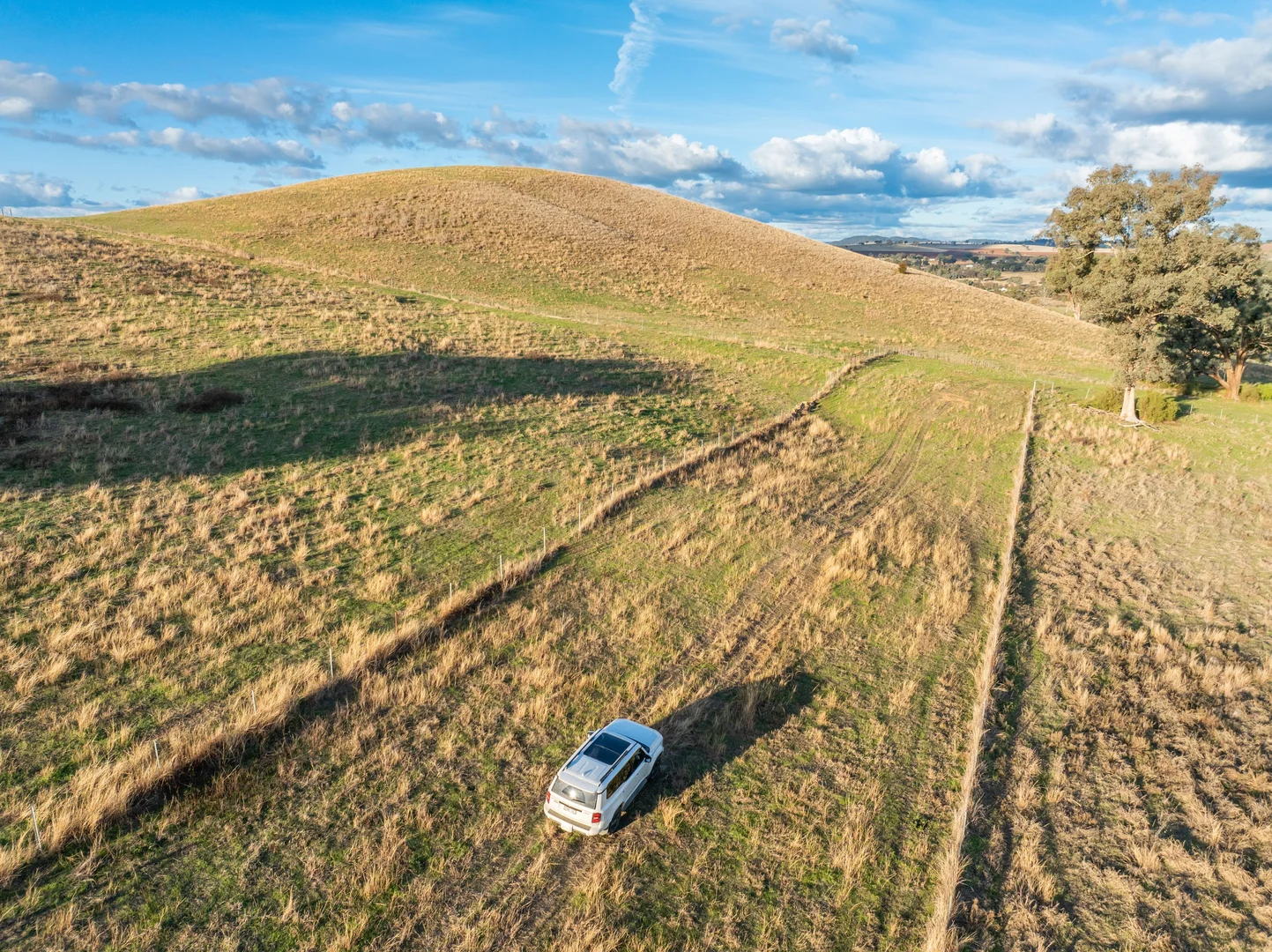 Additional image 36 of 14 Packs Grant Road, Cowra NSW 2794