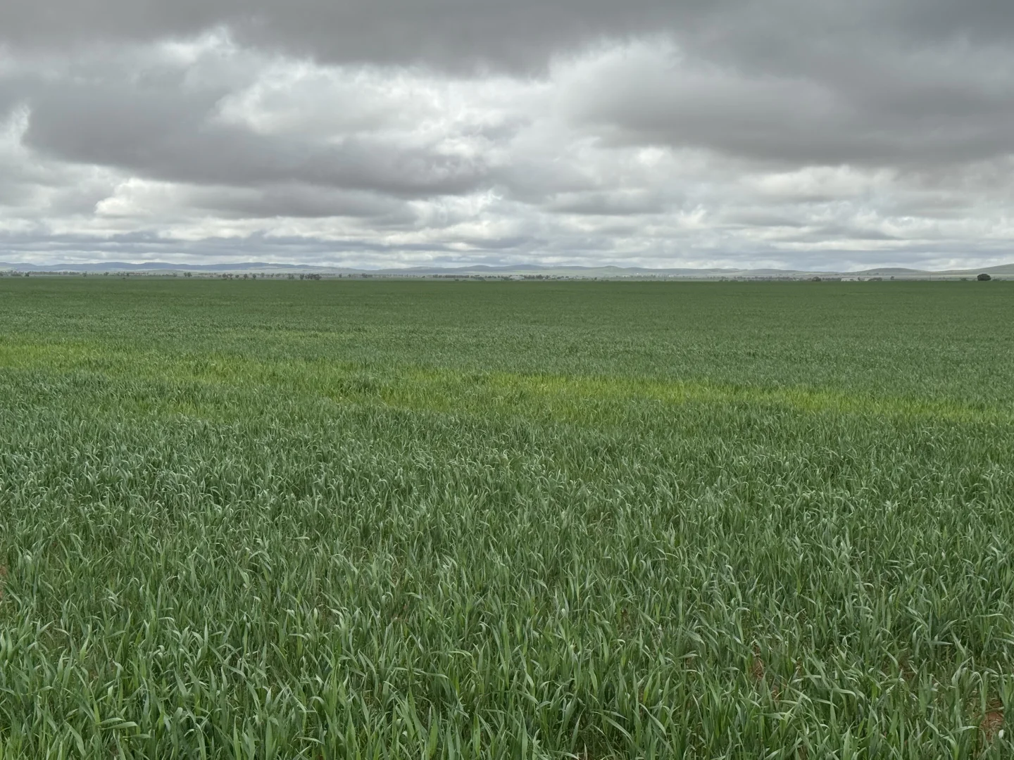 Additional image 14 of 434 Schmidt Road, Willowie SA 5431